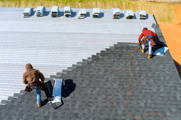 Best Storm Damage Roof Repair  in Riverview, FL