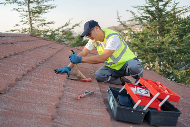 Best Metal Roofing Contractor  in Riverview, FL